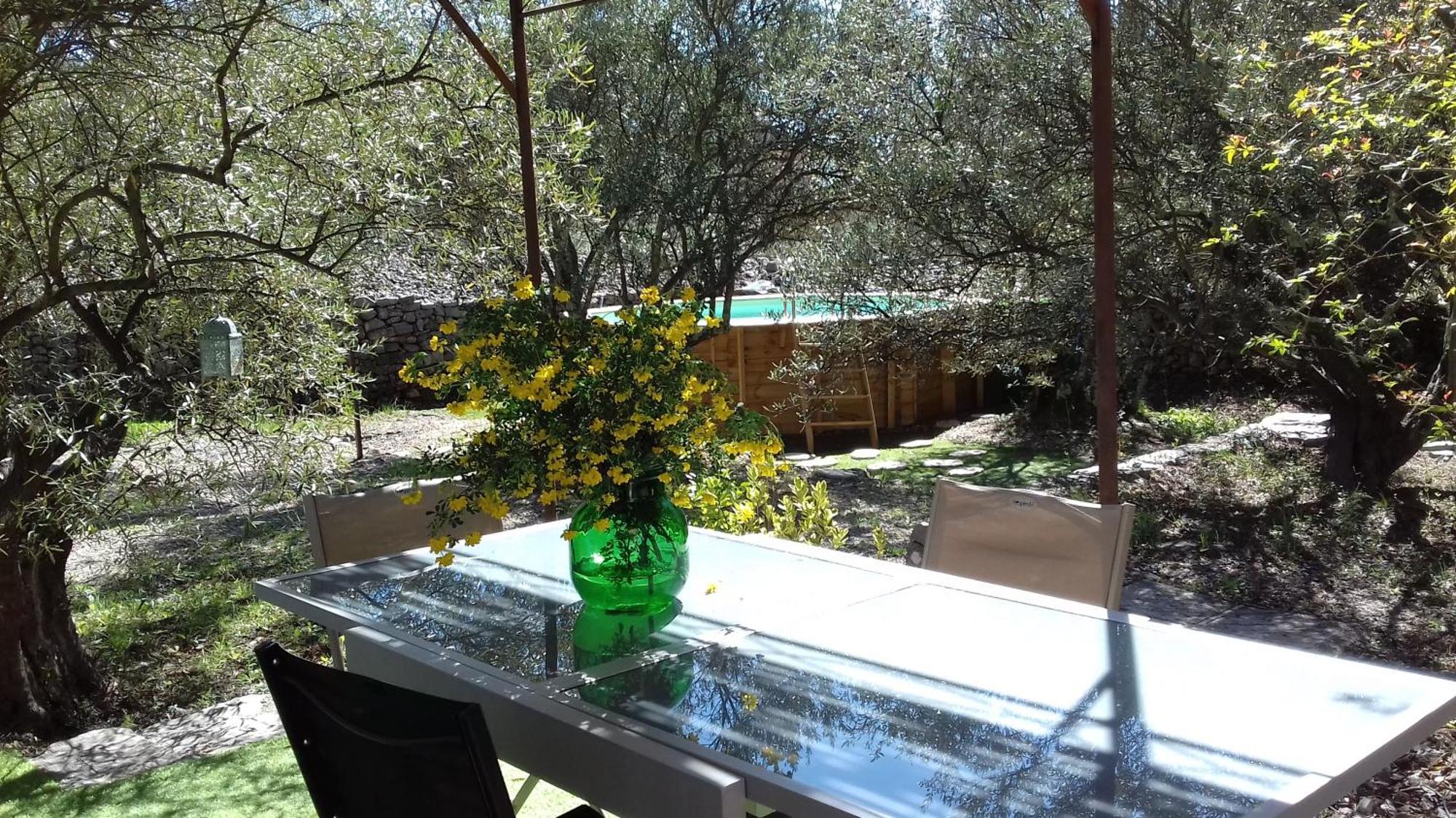 Bed and Breakfast Les Chardons Bleus Lorgues Exterior foto