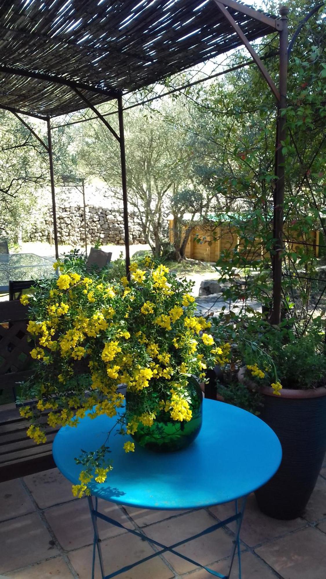 Bed and Breakfast Les Chardons Bleus Lorgues Exterior foto