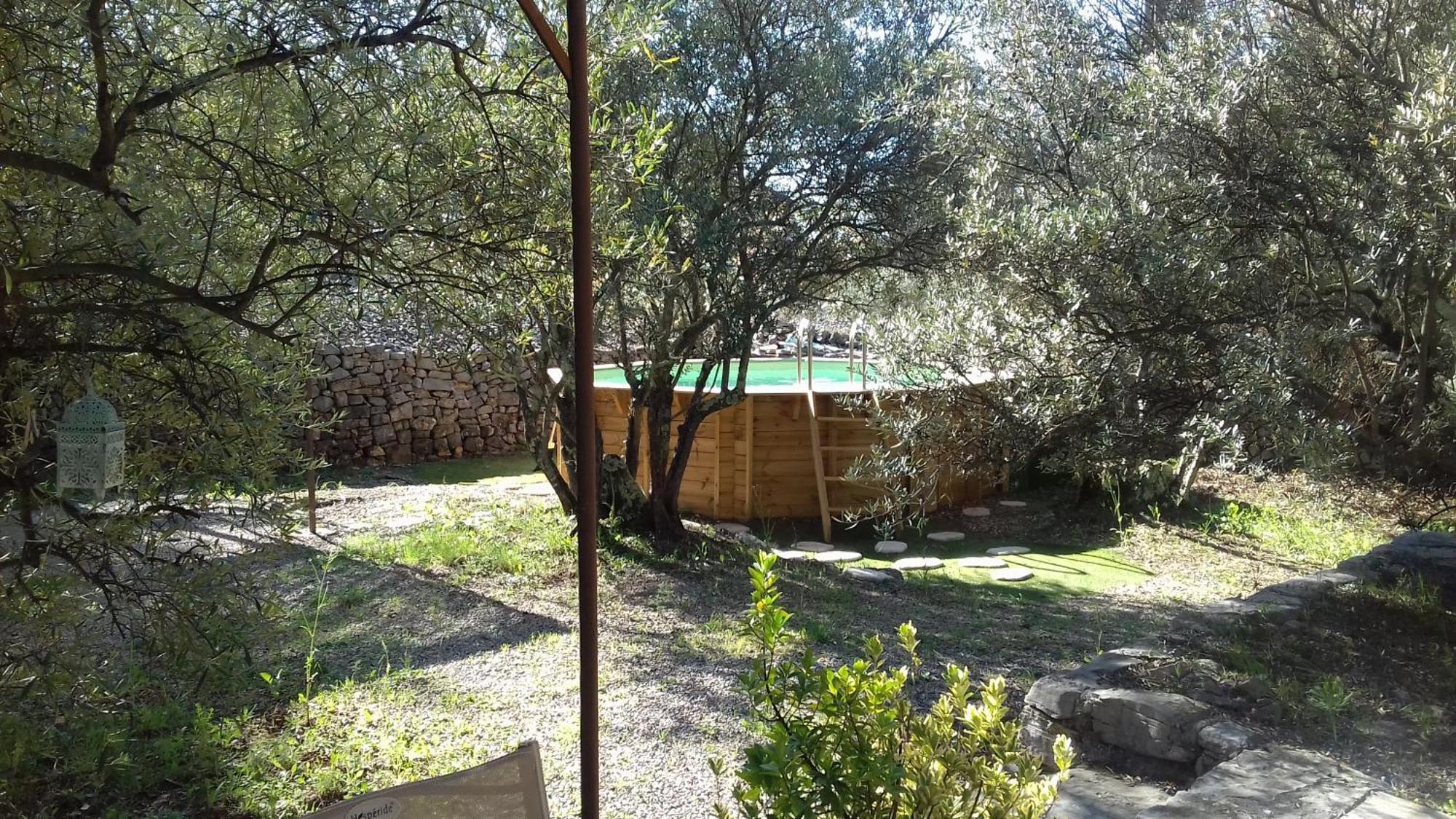 Bed and Breakfast Les Chardons Bleus Lorgues Exterior foto